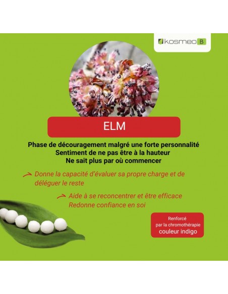 Fleur de Bach ELM – pour ceux qui se sentent temporairement dépassés par leurs responsabilités