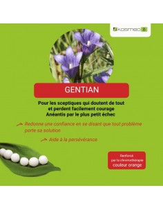 Fleur de Bach GENTIAN n°12 (Gentiane) – granules sans alcool Kosméo 2