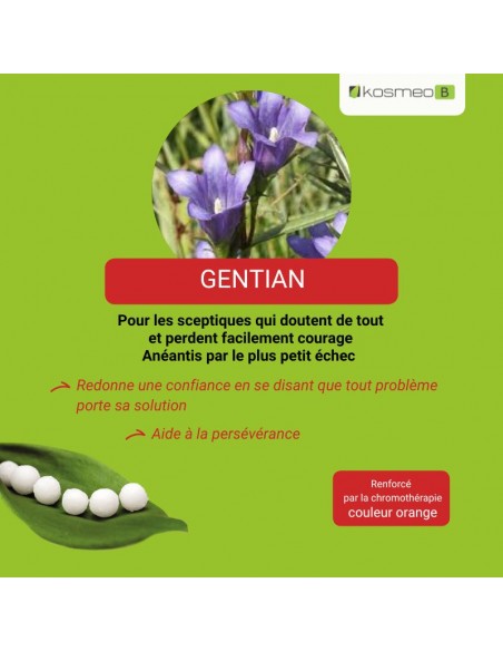 Fleur de Bach GENTIAN – pour les découragements passagers face aux obstacles