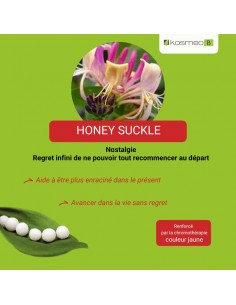 Fleur de Bach HONEYSUCKLE n°16 (Chèvrefeuille) – granules sans alcool Kosméo 2