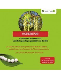 Fleur de Bach HORNBEAM n°17 (Charme) – granules sans alcool Kosméo 2