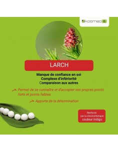Fleur de Bach LARCH n°19 (Mélèze) – granules sans alcool Kosméo 2