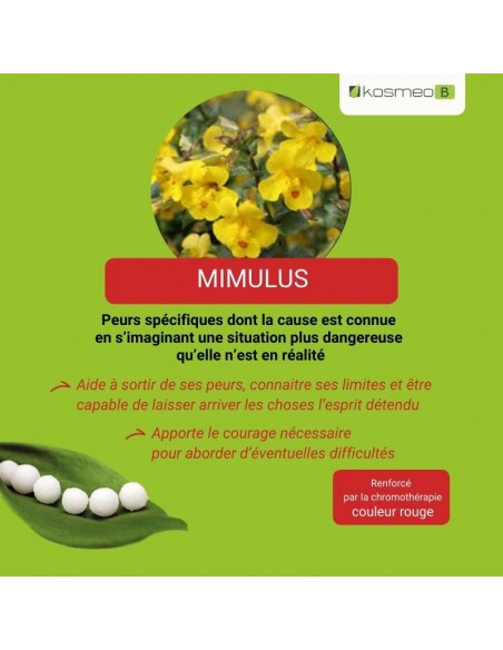 Fleur de Bach MIMULUS – pour les peurs connues : maladie, solitude, douleur...