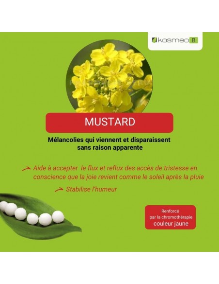 Fleur de Bach MUSTARD – pour les états de profonde mélancolie sans cause apparente