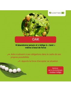 Fleur de Bach OAK n°22 (Chêne) – granules sans alcool Kosméo 2