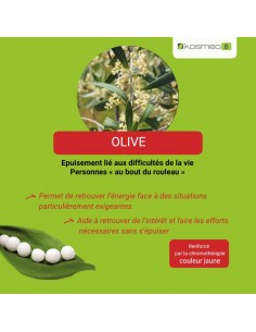 Fleur de Bach OLIVE n°23 (Olivier) – granules sans alcool Kosméo 2