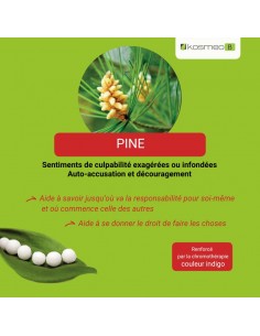 Fleur de Bach PINE n°24 (Pin sylvestre) – granules sans alcool Kosméo 2