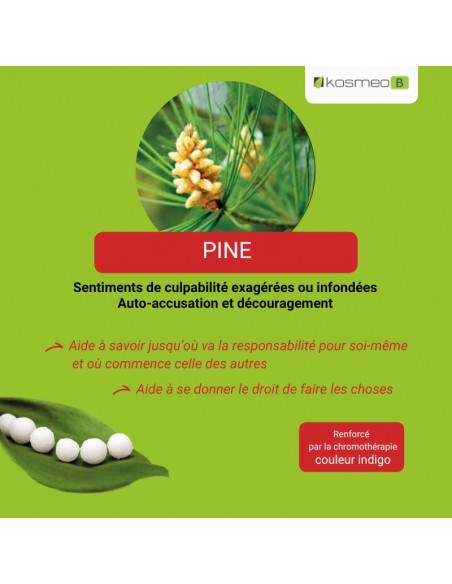 Fleur de Bach PINE – pour la culpabilité excessive ou injustifiée