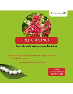Fleur de Bach RED CHESTNUT n°25 (Marronnier rouge) – granules sans alcool Kosméo 2