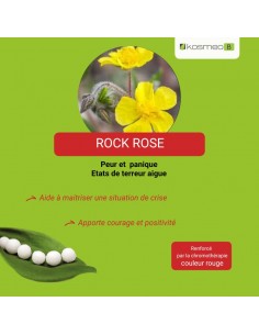 Fleur de Bach ROCK ROSE n°26 (Hélianthème) – granules sans alcool Kosméo 2