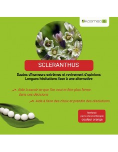 Fleur de Bach SCLERANTHUS n°28 (Alène) – granules sans alcool Kosméo 2