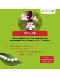 Fleur de Bach VERVAIN n°31 (Verveine) – granules sans alcool Kosméo 2