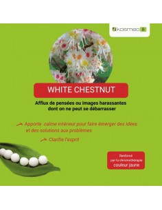 Fleur de Bach WHITE CHESTNUT n°35 (Marronnier blanc) – granules sans alcool Kosméo 2