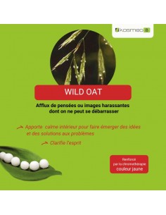 Fleur de Bach WILD OAT n°36 (Avoine sauvage) – granules sans alcool Kosméo 2