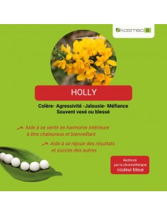 Fleur de Bach HOLLY n°15 (Houx) – granules sans alcool Kosméo 2