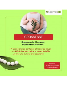 Complexe Grossesse Bio sans alcool – Granules Fleurs de Bach Kosmeo 2