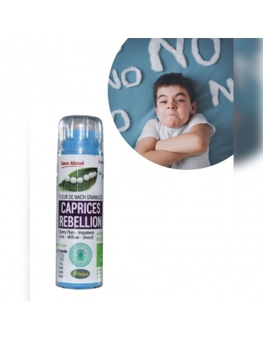 Complexe Agitation Rébellion Bio sans alcool – Granules Fleurs de Bach Kosmeo