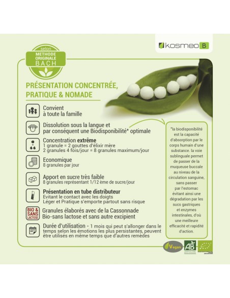 Fleurs de Bach utilisées dans le complexe Pessimisme Craintes – soutien naturel contre la morosité et l’inquiétude