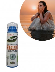 Culpabilité Fleur de Bach Sans Alcool Granule