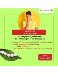 Complexe Pessimisme Craintes Bio sans alcool – Granules Fleurs de Bach Kosmeo 2