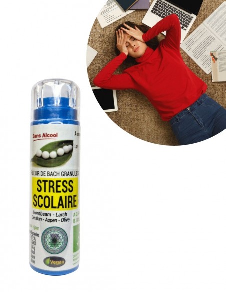 Complexe Fleurs de Bach Stress scolaire pour examens et révisions – Granules sans alcool Kosmeo