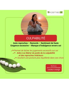 Culpabilité Fleur de Bach Sans Alcool Granule 2