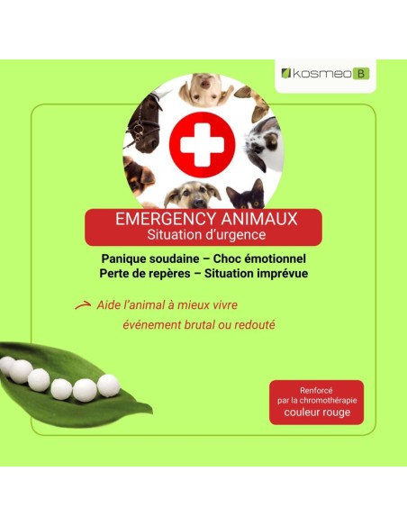 Fleurs de Bach Complexe Urgence Animaux – Panique Soudaine- Choc émotionnel- Situation imprévue