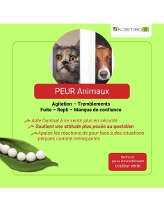 Complexe Peur Animaux Bio sans alcool – Granules Fleurs de Bach Kosmeo 2