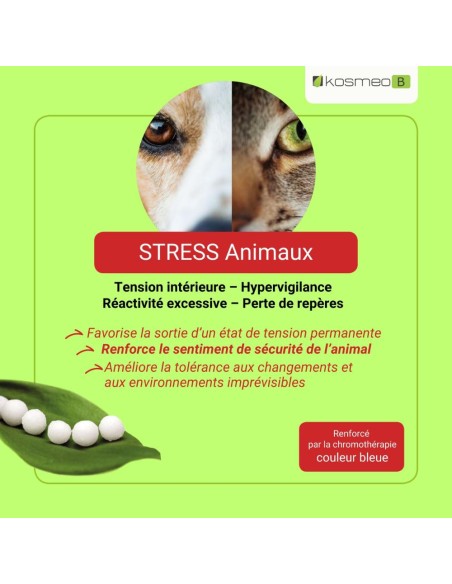 Fleurs de Bach Complexe Animaux Stress – Réactivité Excessive - Hyper vigilance