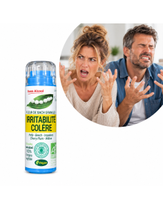 Irritabilité & Colère – Exaspération, impatience et tensions émotionnelles au quotidien