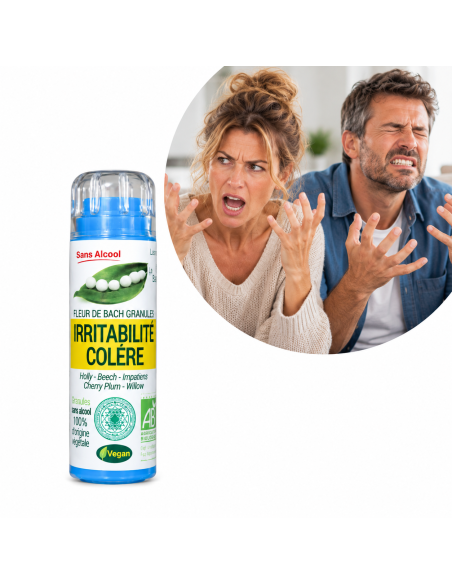 Irritabilité & Colère – Exaspération, impatience et tensions émotionnelles au quotidien