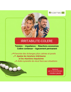 Irritabilité & Colère – Exaspération, impatience et tensions émotionnelles au quotidien 2