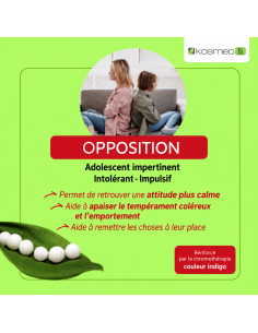 KOSMEO B – Fleurs de Bach OPPOSITION Ado BIO – Granules sans alcool 2